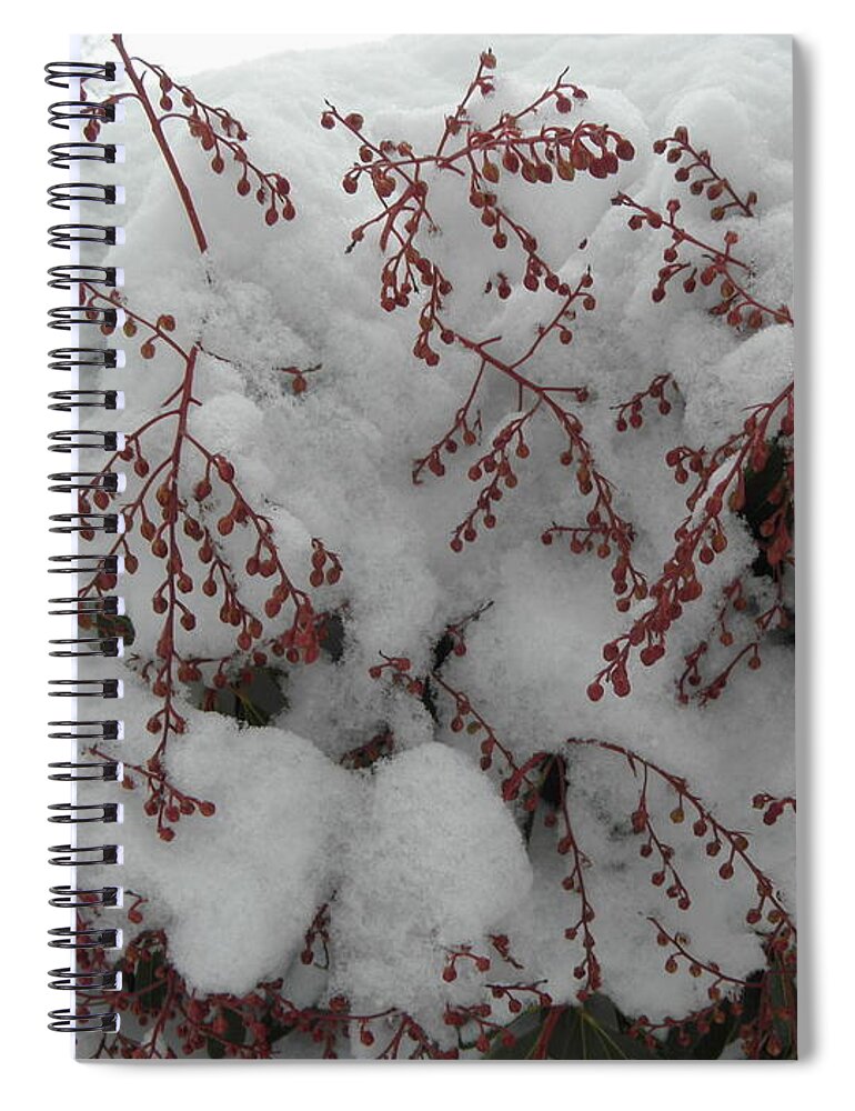 Snow Spiral Notebook featuring the photograph Snow Covered by Kim Galluzzo Wozniak