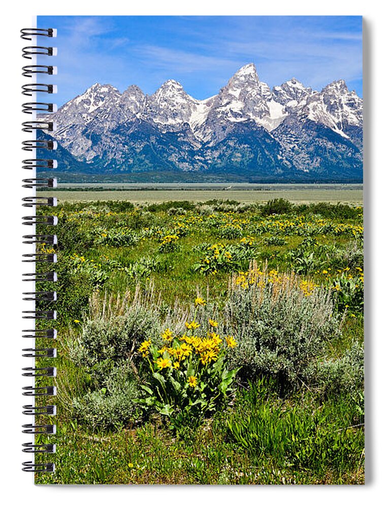 Grand Teton National Park Spiral Notebook featuring the photograph Teton Peaks and Flowers #1 by Greg Norrell