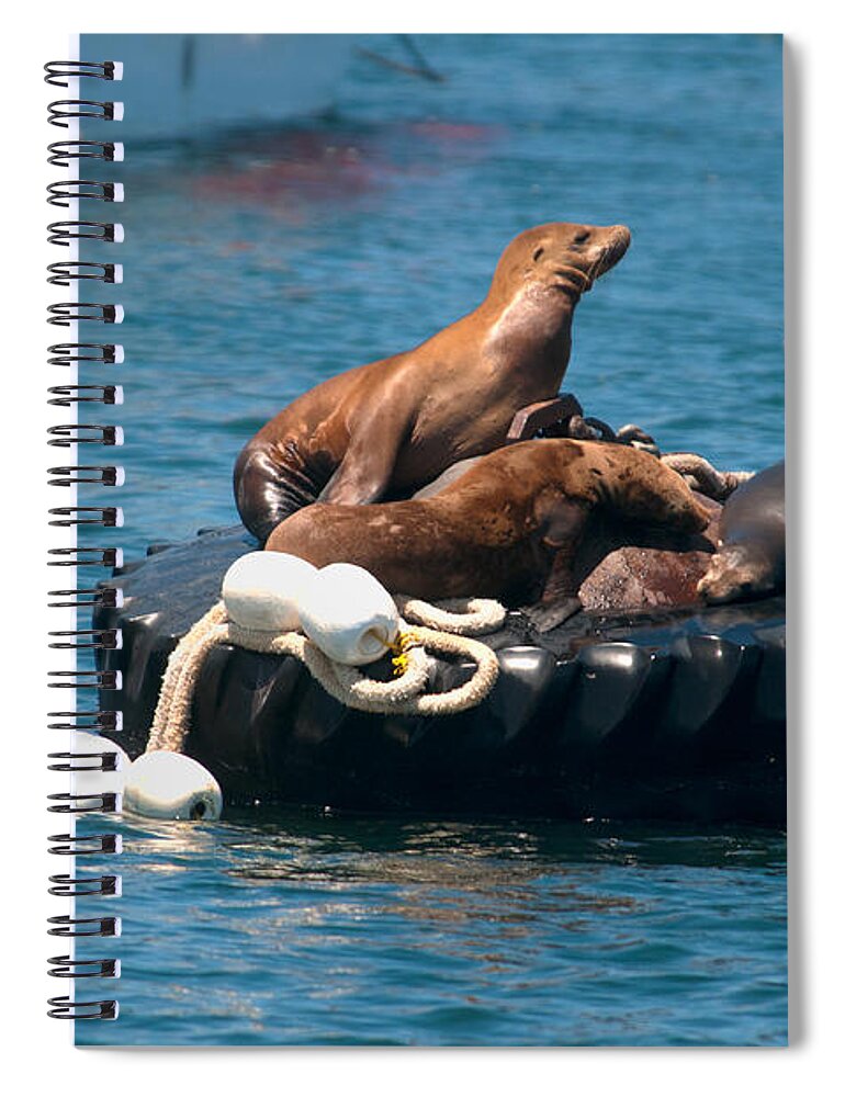 California Spiral Notebook featuring the digital art Monterey Harbour #11 by Carol Ailles