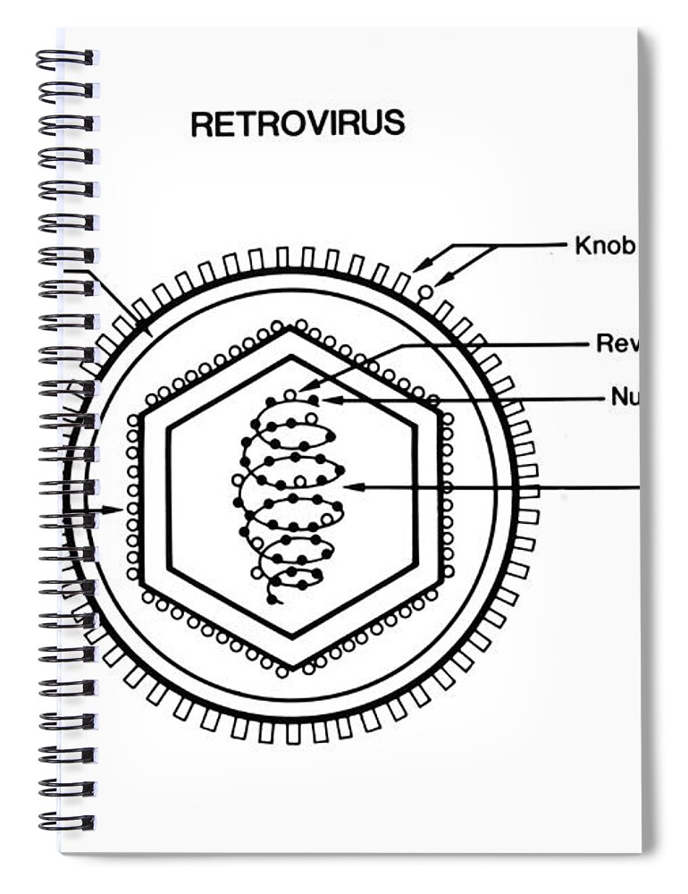 Science Spiral Notebook featuring the photograph Retrovirus #2 by Science Source