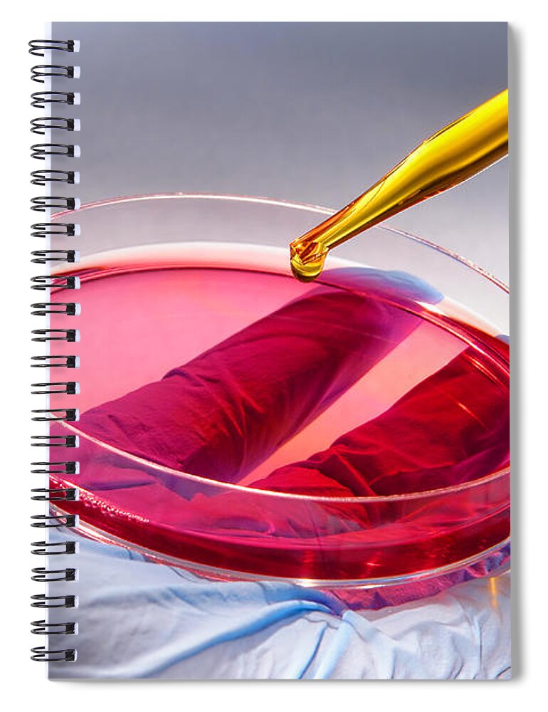Petri Spiral Notebook featuring the photograph Scientific Experiment in Science Research Lab #2 by Science Research Lab