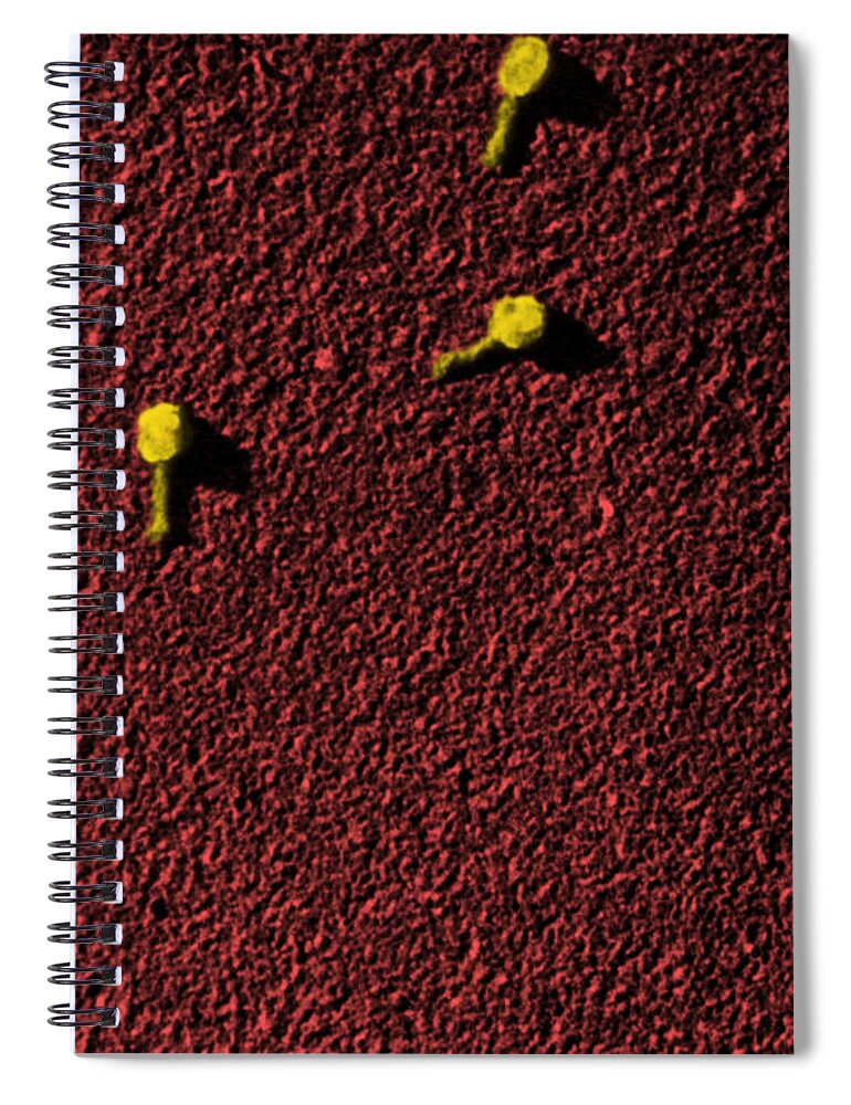 Bacteriophage Spiral Notebook featuring the photograph Bacteriophage T2 #3 by Omikron