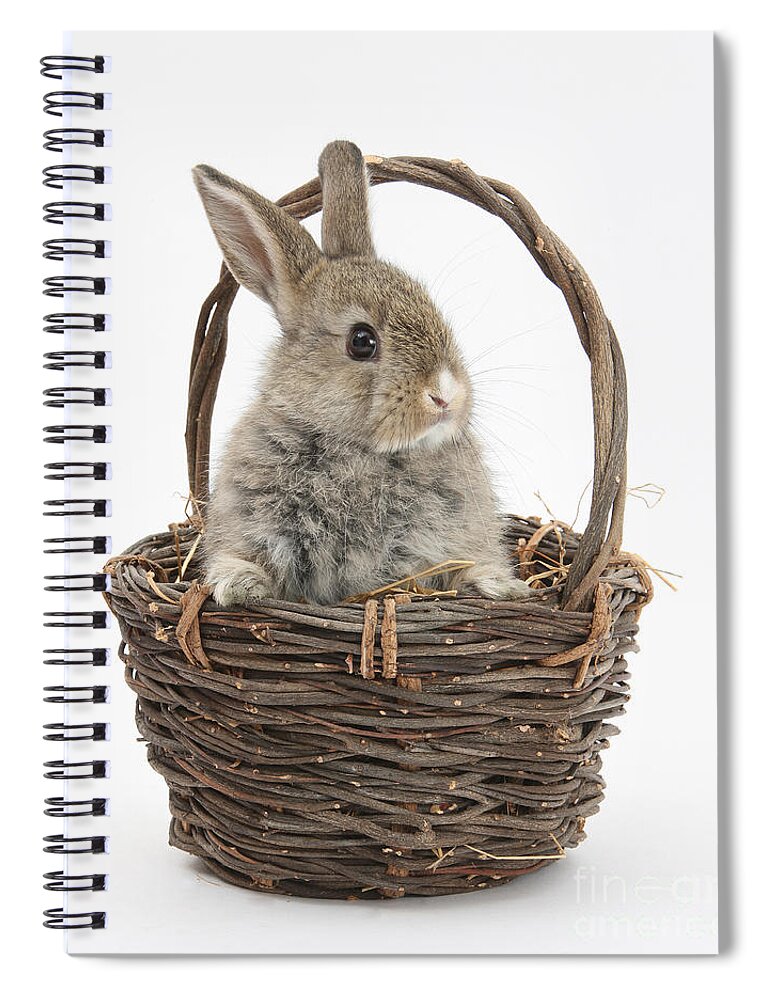 Animal Spiral Notebook featuring the photograph Bunny In A Basket #3 by Mark Taylor
