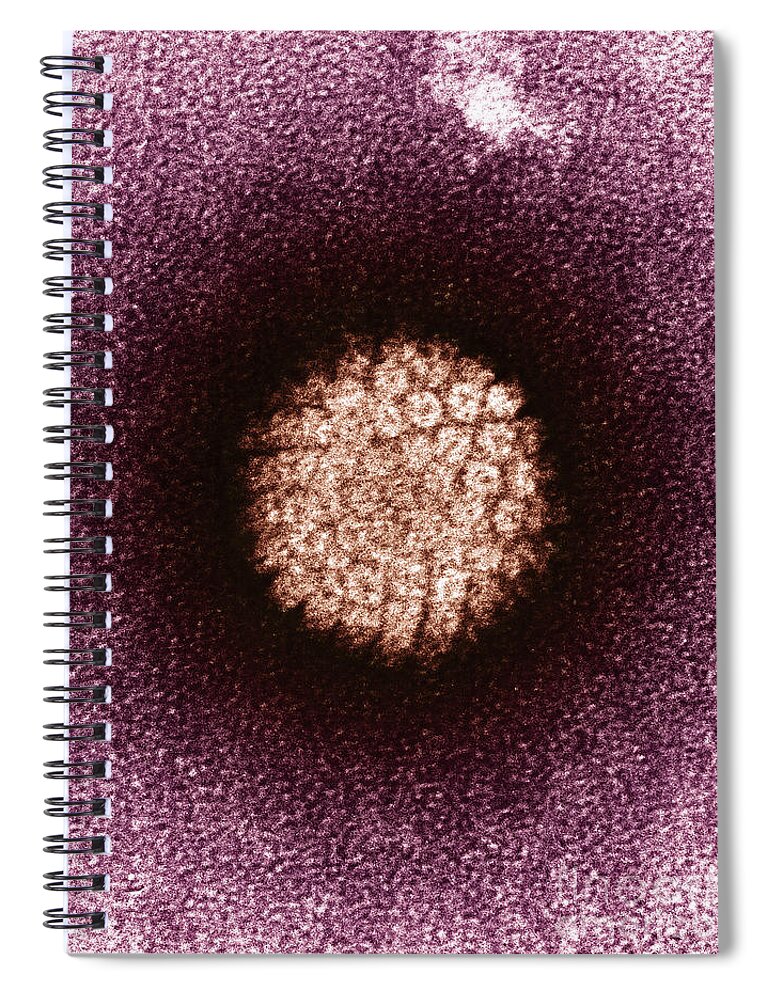 Electron Micrograph Spiral Notebook featuring the photograph Human Papilloma Virus Hpv #3 by Science Source