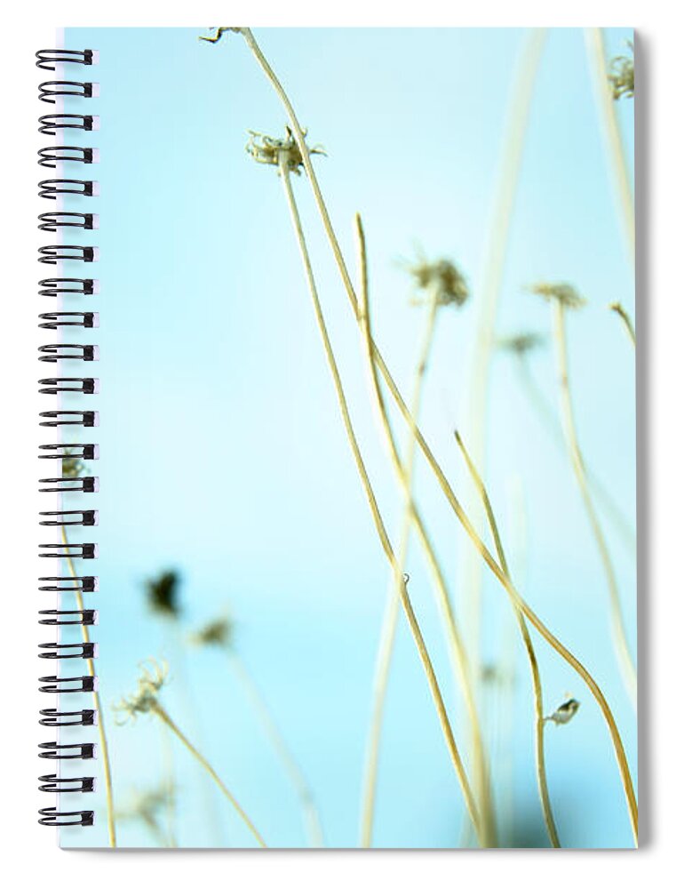 Flowers Spiral Notebook featuring the photograph 30second Daydream by Mark Ross