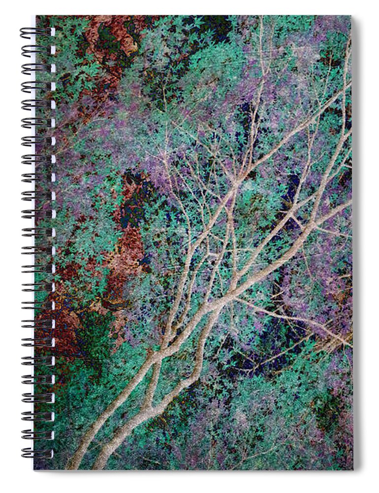 Forest Spiral Notebook featuring the photograph A Forest of Magic #4 by Eena Bo