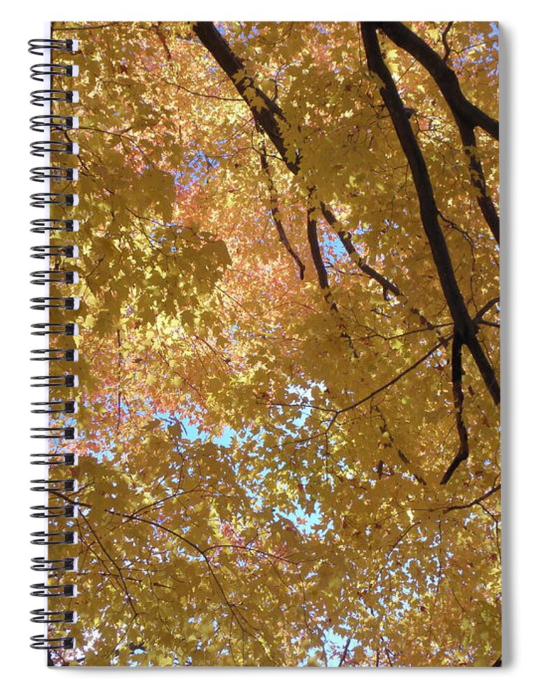 Orange Spiral Notebook featuring the photograph A Beaufiul Splash Of Pastel Yellows And Orange by Kim Galluzzo