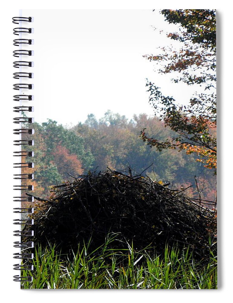 Beaver Spiral Notebook featuring the photograph A Beavers Home by Kim Galluzzo