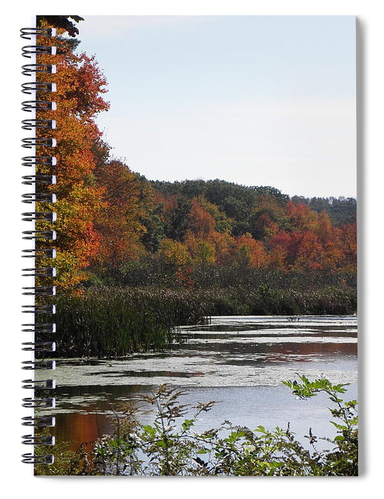 Fall Spiral Notebook featuring the photograph A Curve Of Color by Kim Galluzzo Wozniak