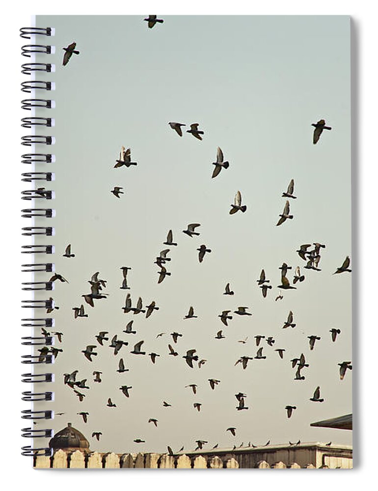 Pigeons Spiral Notebook featuring the photograph A flock of pigeons crowding one of the structures on top of the Red Fort by Ashish Agarwal