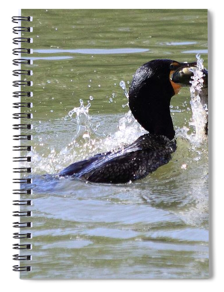 Cormorant Spiral Notebook featuring the photograph A Fresh Meal by Shane Bechler