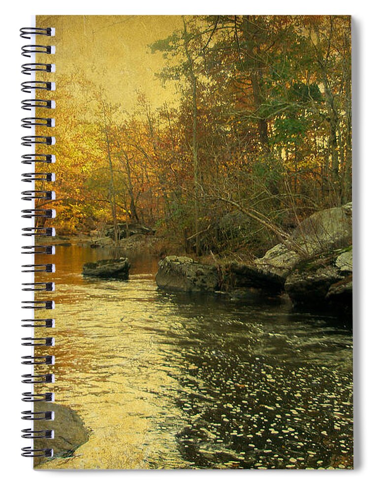 Creek Spiral Notebook featuring the photograph A Golden Autumn at the Unami by Carol Senske