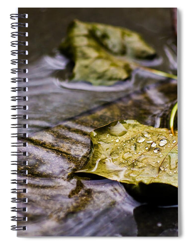 Drops Spiral Notebook featuring the photograph A Leaf in the Rain by Lori Coleman