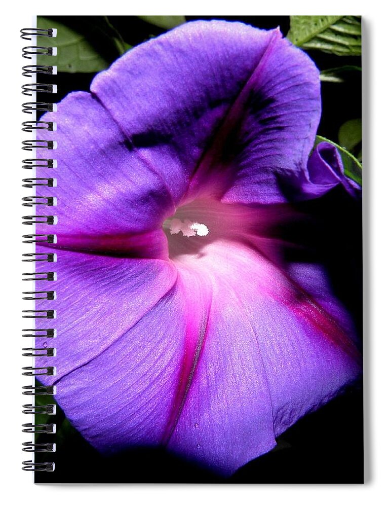 Purply Spiral Notebook featuring the photograph A Morning Full Of Glory by Kim Galluzzo Wozniak
