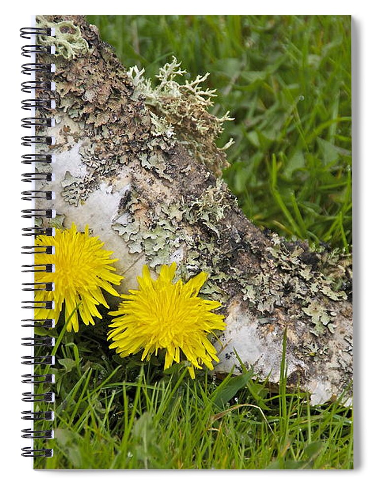 Photography Spiral Notebook featuring the photograph A Pair of Dandies by Sean Griffin