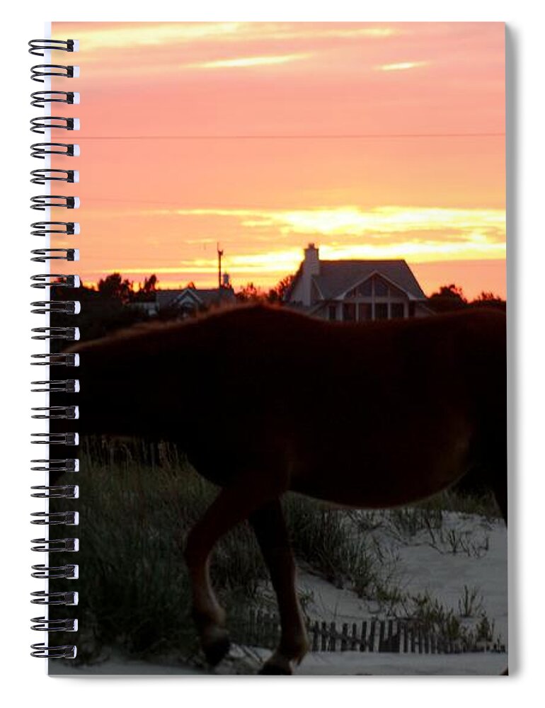 Wild Spanish Mustang Spiral Notebook featuring the photograph A Perfect Sunset at the Beach by Kim Galluzzo