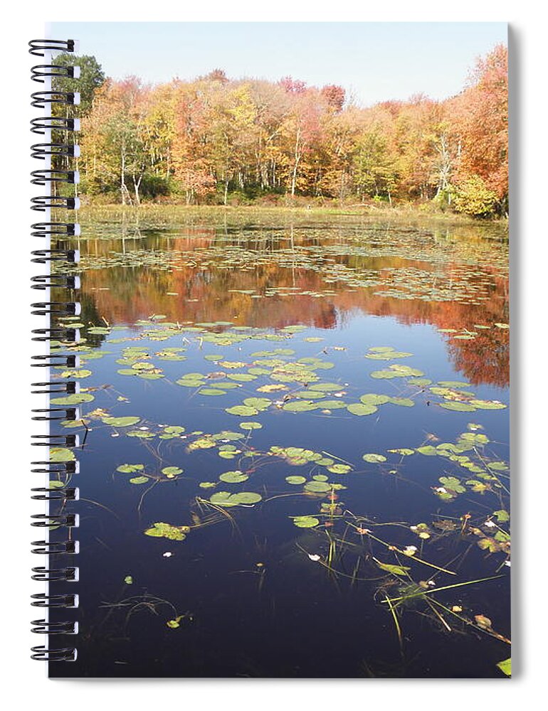 Pond Spiral Notebook featuring the photograph A Pond Of Reflective Beauty by Kim Galluzzo Wozniak