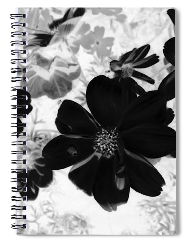 Abstract Photography Spiral Notebook featuring the photograph Abstract Flowers 4 by Kim Galluzzo Wozniak