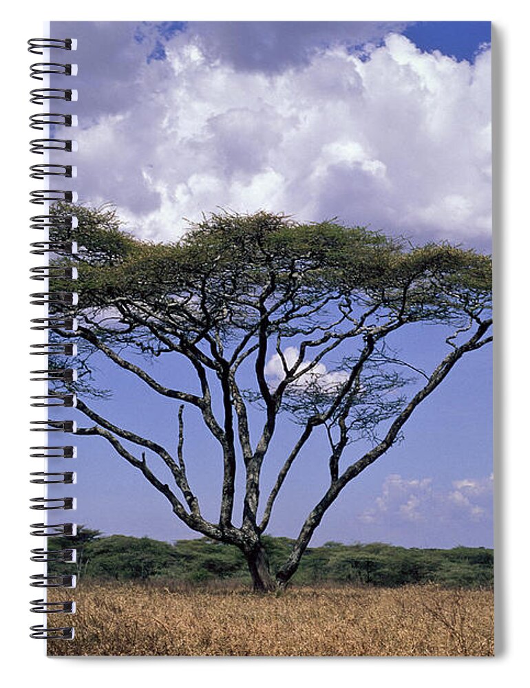 Acacia Spiral Notebook featuring the photograph Acacia Trees On The Serengeti Plain by Greg Dimijian