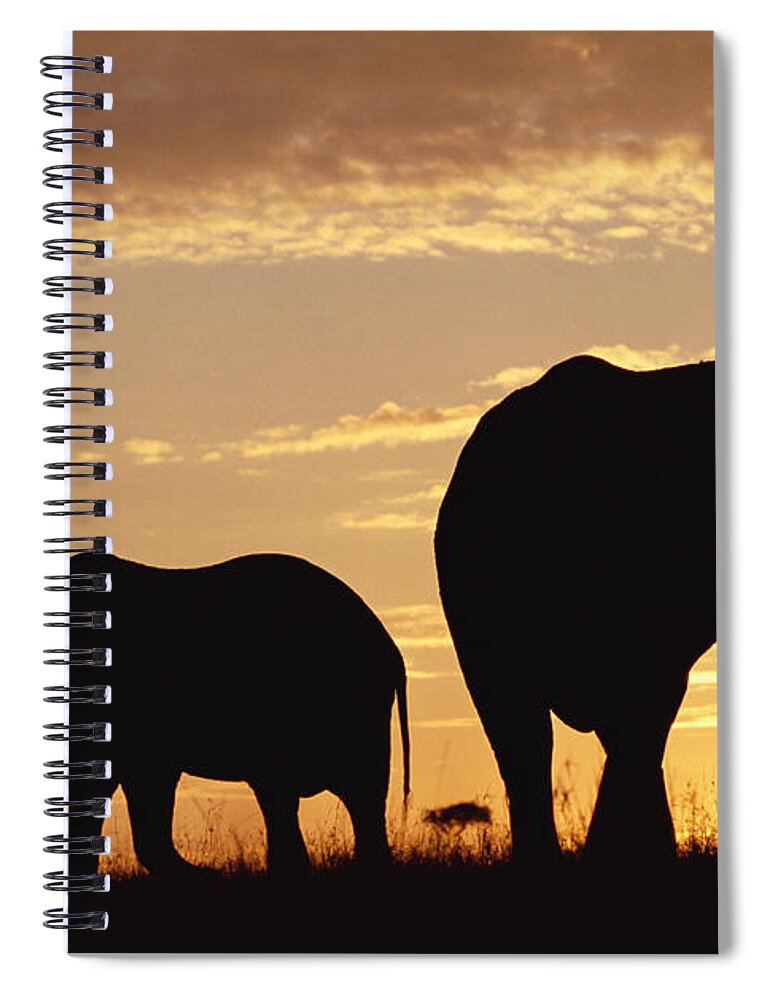 00172034 Spiral Notebook featuring the photograph African Elephant Mother And Calf by Tim Fitzharris