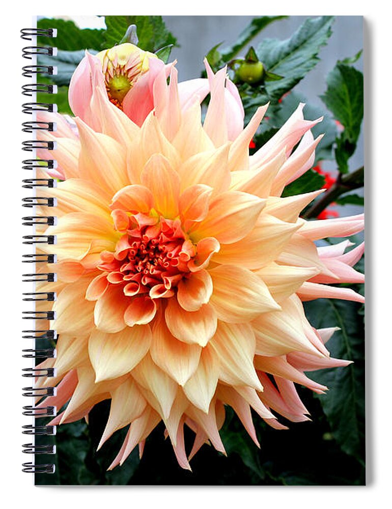 Flowers Spiral Notebook featuring the photograph Alaskan Beauty by Kathy White