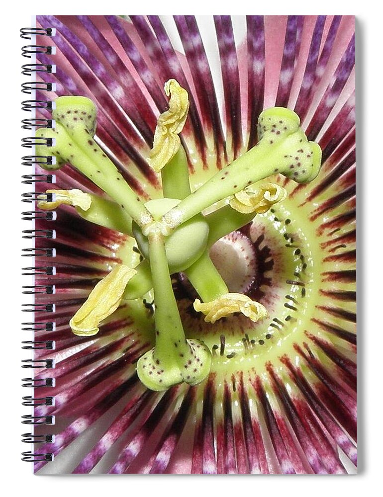Passion Flower Spiral Notebook featuring the photograph Alienated by Kim Galluzzo