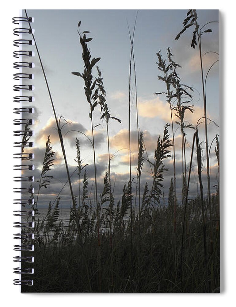 Sunrise Spiral Notebook featuring the photograph All Over Beauty by Kim Galluzzo
