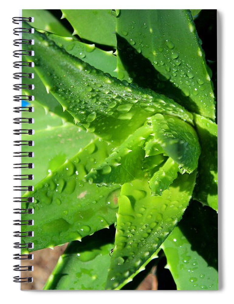  Spiral Notebook featuring the photograph Aloe by M Diane Bonaparte