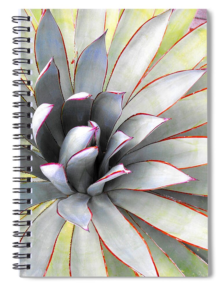 Aloe Spiral Notebook featuring the photograph Aloe by Rebecca Margraf
