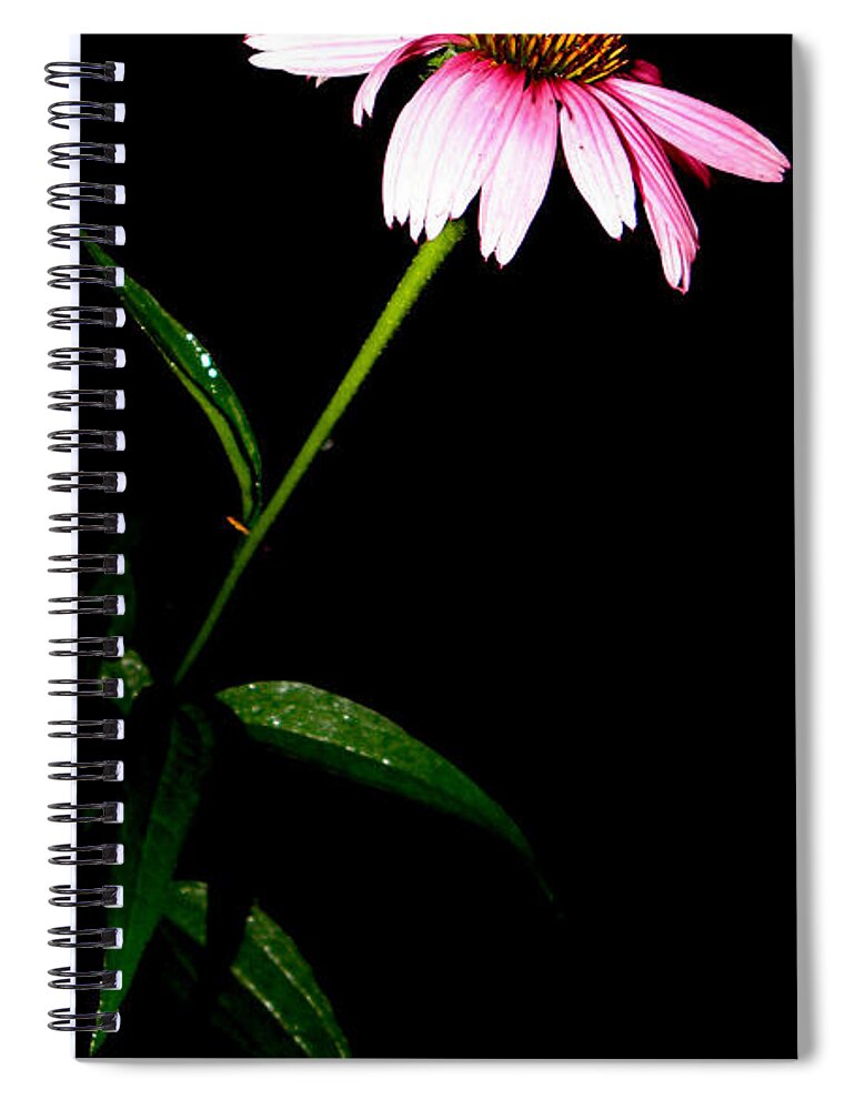 Purple Spiral Notebook featuring the photograph Alone At Night by Kim Galluzzo