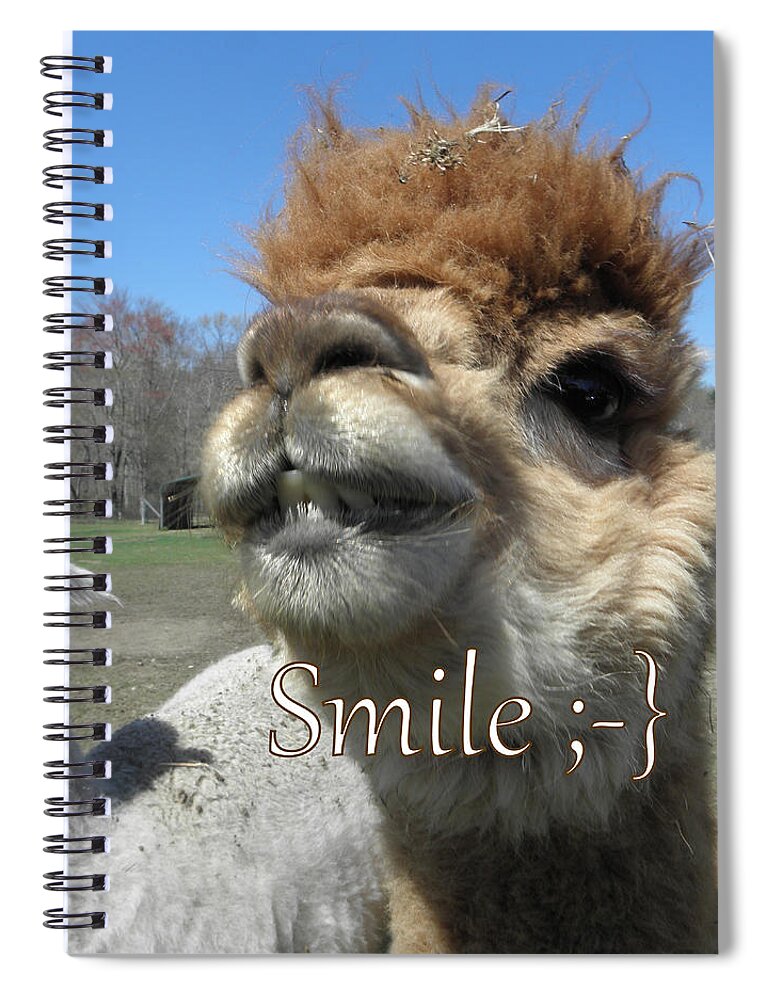 Alpaca Spiral Notebook featuring the photograph Alpaca Smile by Kim Galluzzo Wozniak