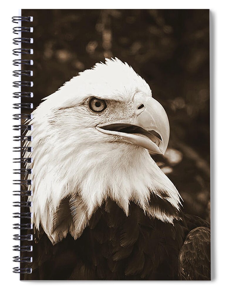 Nature Spiral Notebook featuring the photograph American Eagle by Peggy Urban