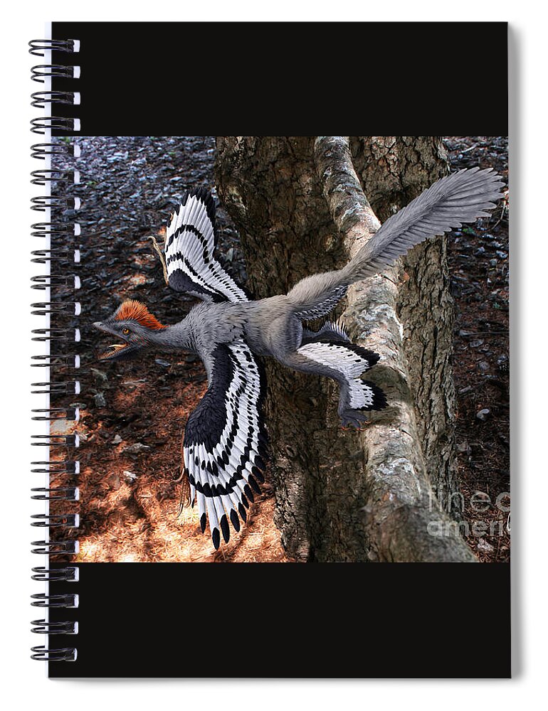 Paleoart Spiral Notebook featuring the digital art Anchiornis huxleyi by Julius Csotonyi