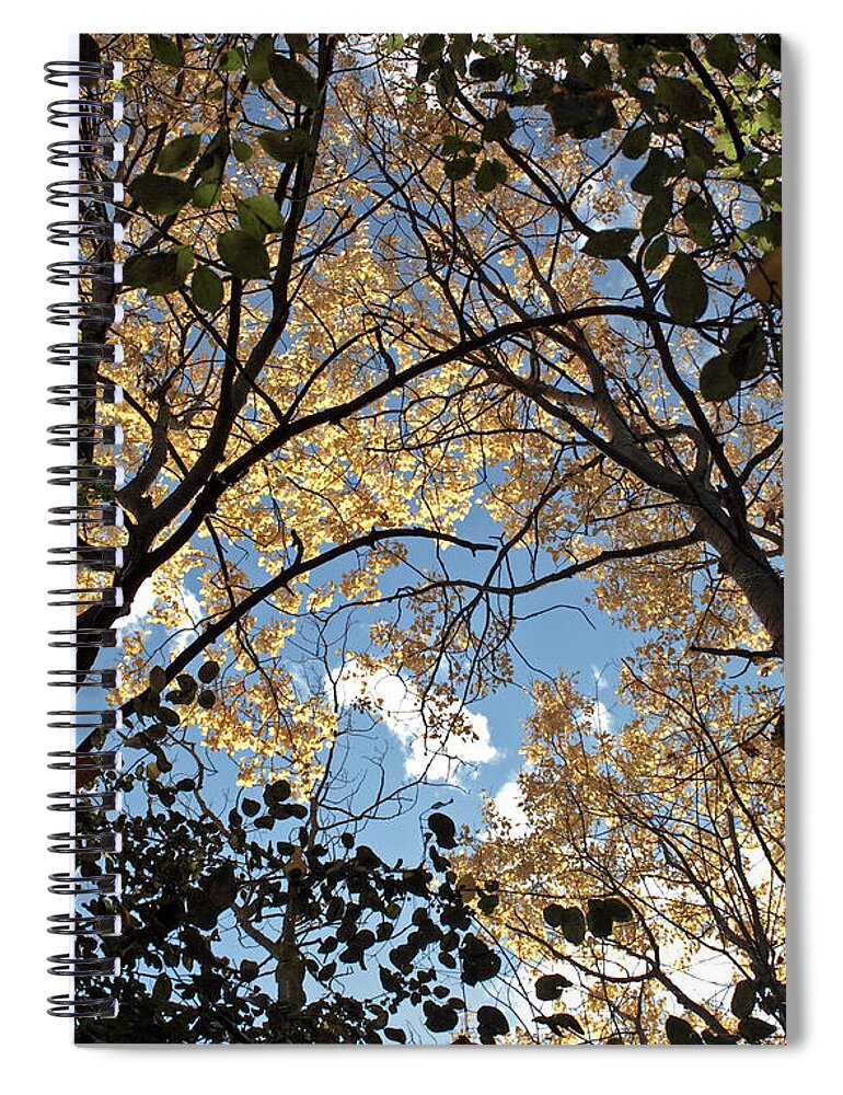 Scenery Spiral Notebook featuring the photograph Arch To The sky by Barbara McMahon