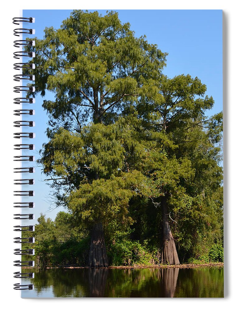 Tree Spiral Notebook featuring the photograph Atchafalaya Basin 49 Southern Louisiana by Maggy Marsh