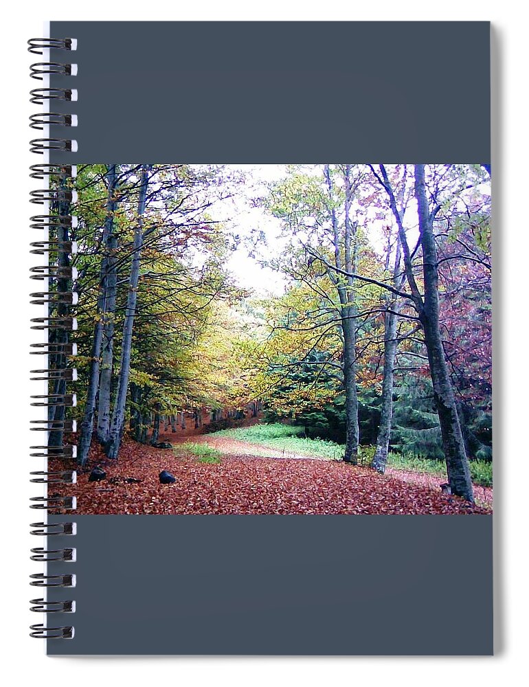 Nature Spiral Notebook featuring the photograph Autumn at Red Mountain by Amalia Suruceanu