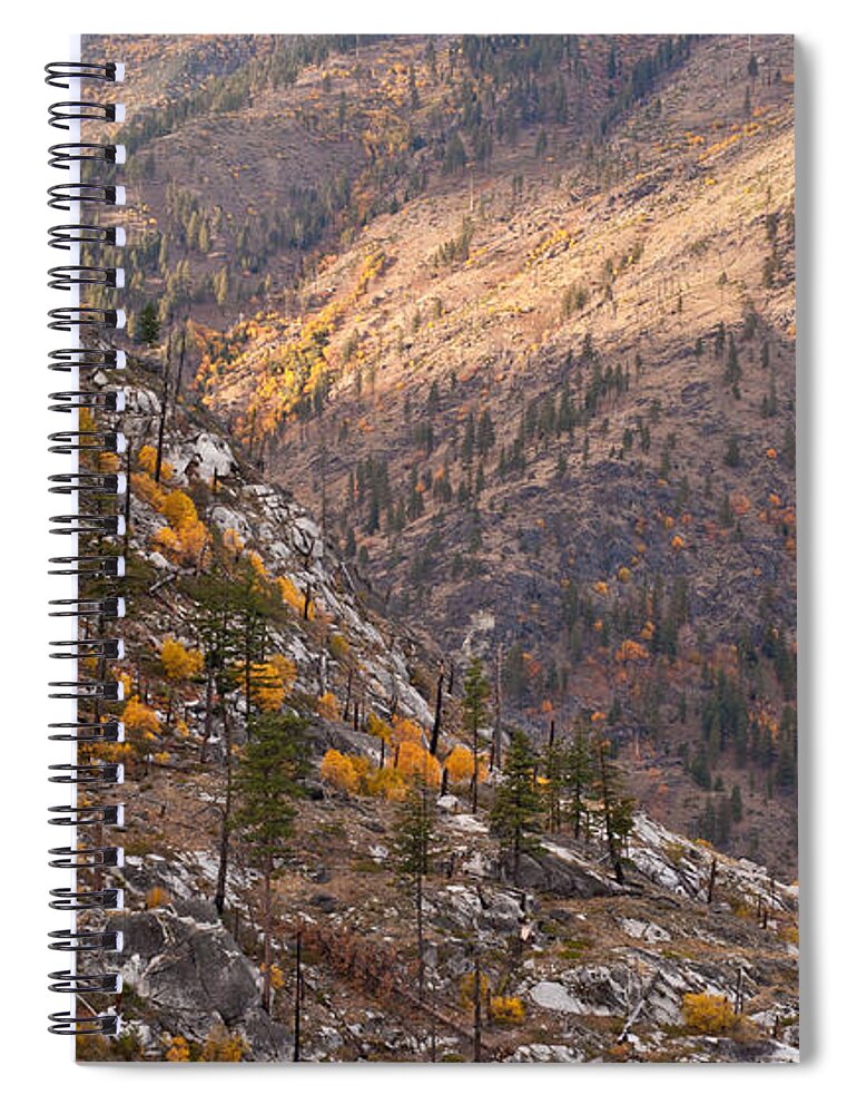 Autumn Spiral Notebook featuring the photograph Autumn Layers by Mike Reid