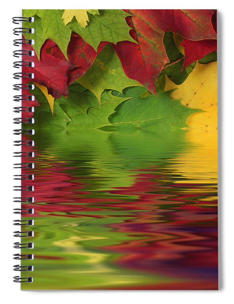 Leaves Spiral Notebook featuring the photograph Autumn leaves in water with reflection by Simon Bratt