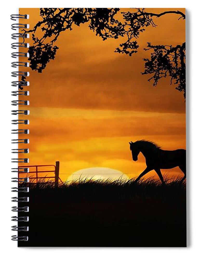 Horse Spiral Notebook featuring the photograph Horse in Pasture with Sunrise Autumn Colors by Stephanie Laird