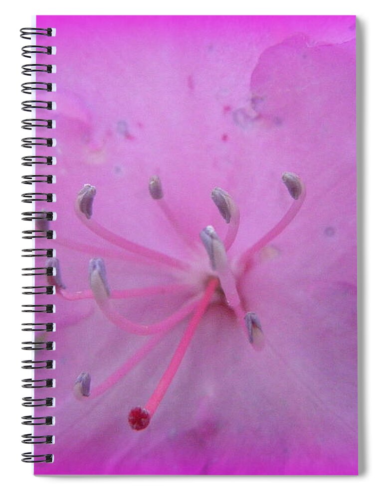 Azalea Spiral Notebook featuring the photograph Azalea Smiles For You by Kim Galluzzo Wozniak