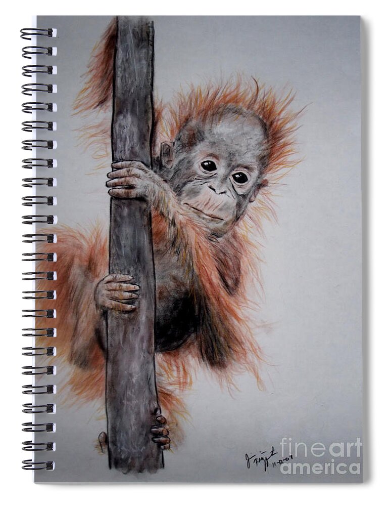 Baby Orangutan Spiral Notebook featuring the drawing Baby Orangutan by Jim Fitzpatrick