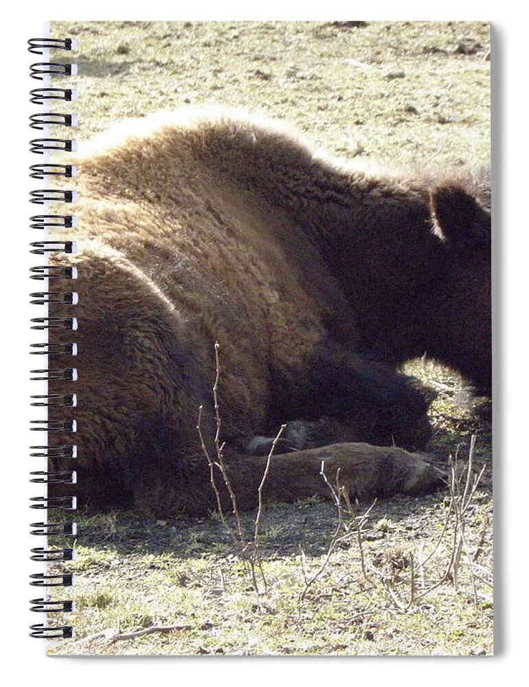 Baby Spiral Notebook featuring the photograph Baby Resting by Kim Galluzzo Wozniak