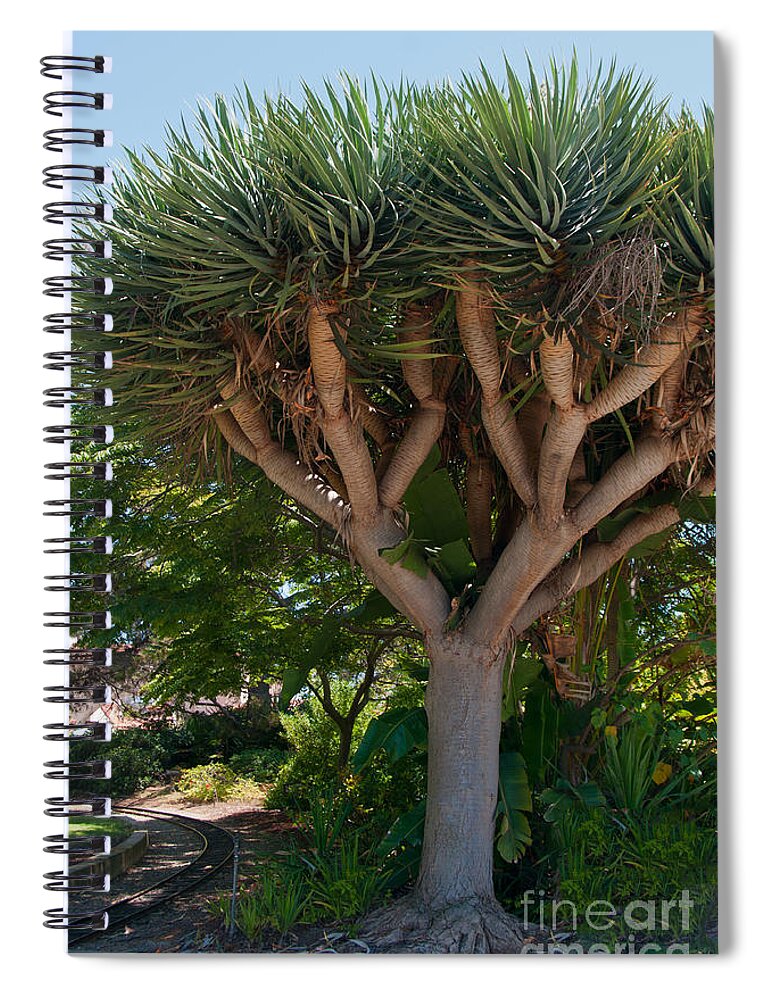 Balboa Park Spiral Notebook featuring the digital art Balboa Park San Diego by Carol Ailles