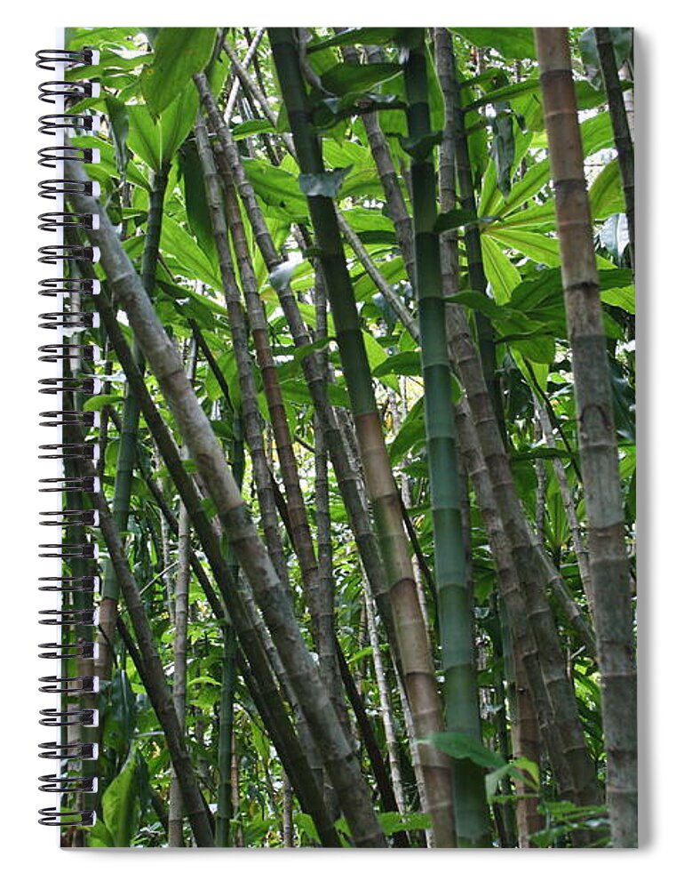 Jennifer Bright Art Spiral Notebook featuring the photograph Bamboo 2 by Jennifer Bright Burr