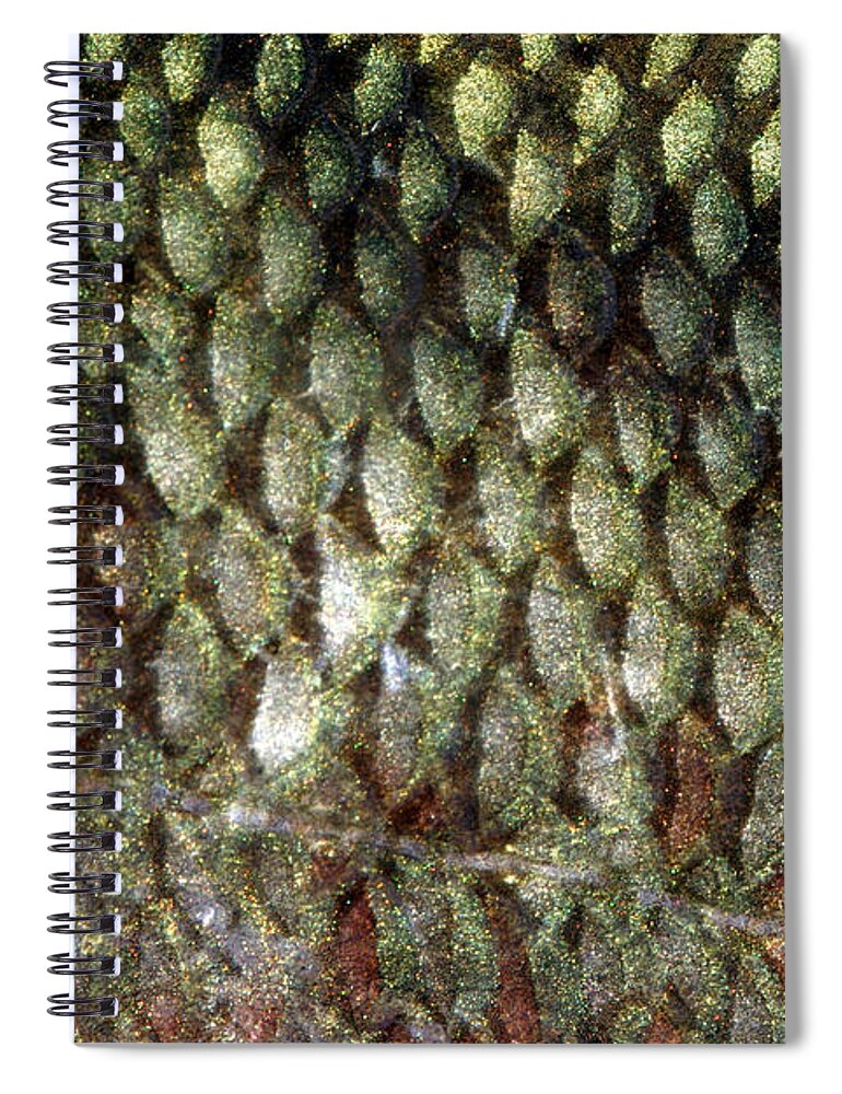 Bass Fish Scales Spiral Notebook by Ted Kinsman - Pixels Merch