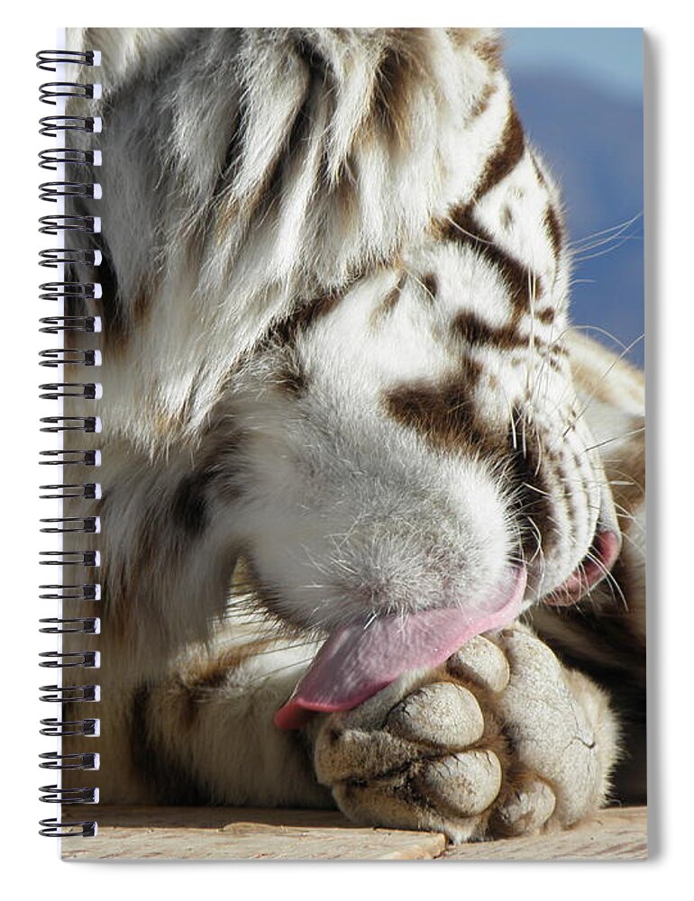 White Spiral Notebook featuring the photograph Bath Time by Kim Galluzzo