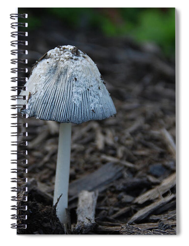Garden Spiral Notebook featuring the photograph Beach Umbrella by Guy Whiteley