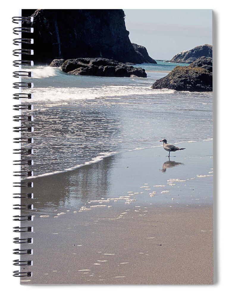 Trinidad Spiral Notebook featuring the photograph Beachcomber by Sharon Elliott