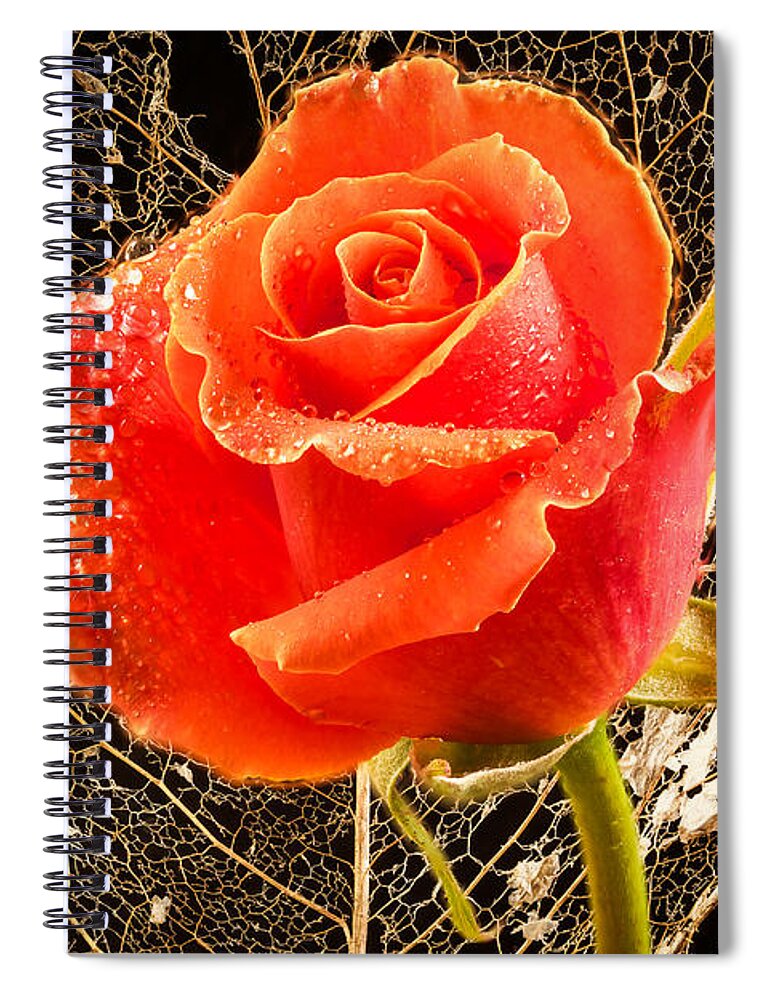 Rose Spiral Notebook featuring the photograph Beauty and the beast by Jean Noren