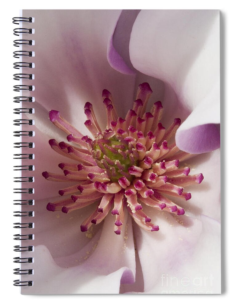 Magnolia Spiral Notebook featuring the photograph Beauty Within by Carrie Cranwill